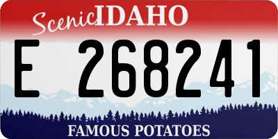 ID license plate E268241