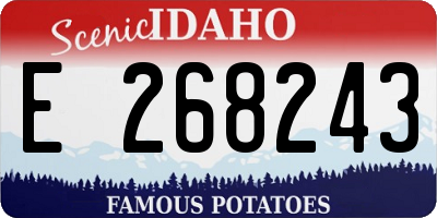 ID license plate E268243