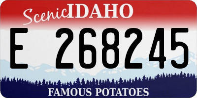 ID license plate E268245