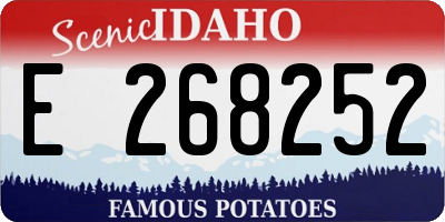 ID license plate E268252