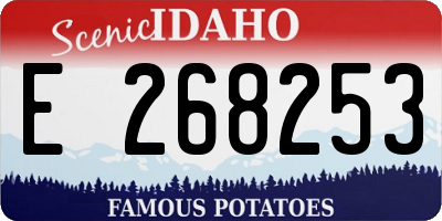 ID license plate E268253