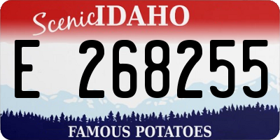 ID license plate E268255