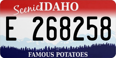 ID license plate E268258
