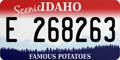 ID license plate E268263