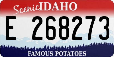 ID license plate E268273