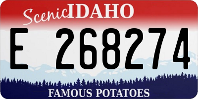 ID license plate E268274