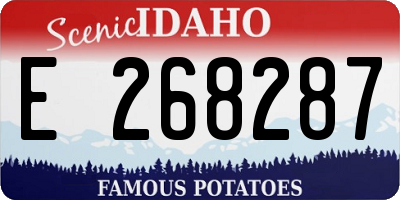 ID license plate E268287