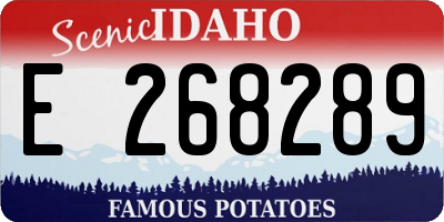 ID license plate E268289