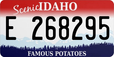 ID license plate E268295