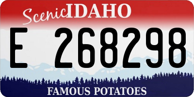 ID license plate E268298