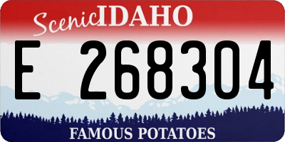 ID license plate E268304