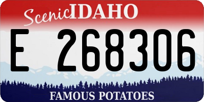 ID license plate E268306