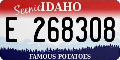 ID license plate E268308