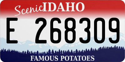 ID license plate E268309