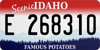 ID license plate E268310