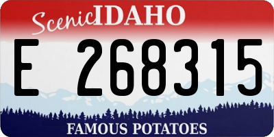 ID license plate E268315