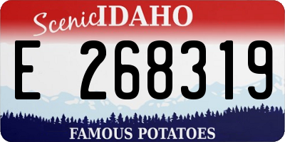ID license plate E268319