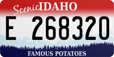 ID license plate E268320