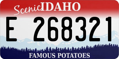 ID license plate E268321