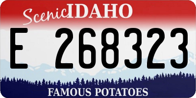 ID license plate E268323