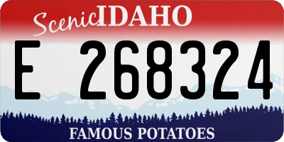 ID license plate E268324
