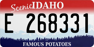 ID license plate E268331
