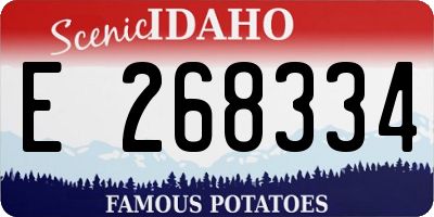 ID license plate E268334