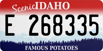 ID license plate E268335