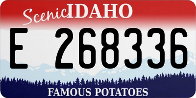 ID license plate E268336