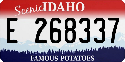 ID license plate E268337