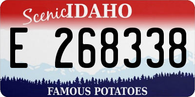 ID license plate E268338
