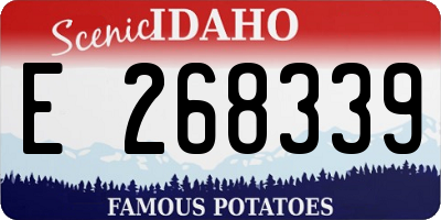 ID license plate E268339