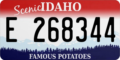 ID license plate E268344