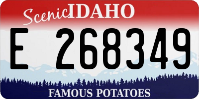 ID license plate E268349