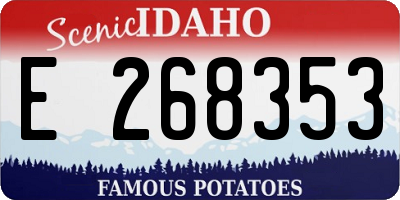 ID license plate E268353
