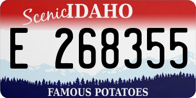 ID license plate E268355