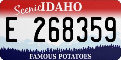 ID license plate E268359