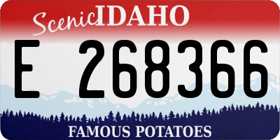 ID license plate E268366