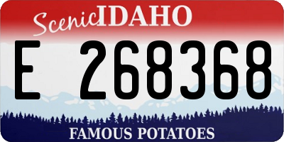 ID license plate E268368
