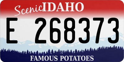 ID license plate E268373