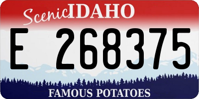 ID license plate E268375