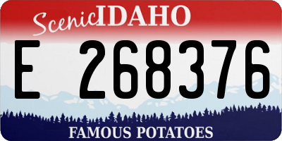 ID license plate E268376