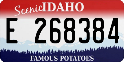 ID license plate E268384