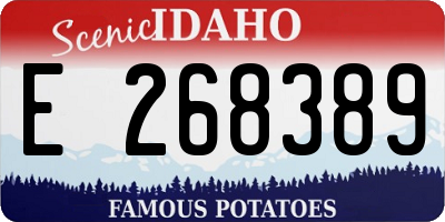 ID license plate E268389