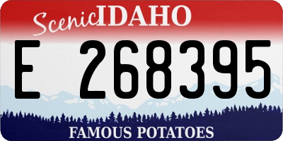 ID license plate E268395