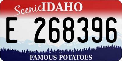ID license plate E268396