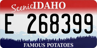 ID license plate E268399