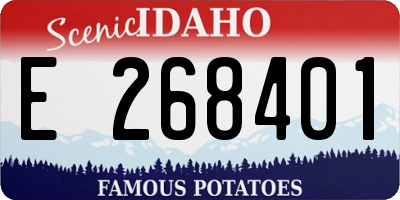 ID license plate E268401