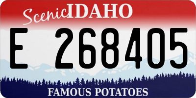 ID license plate E268405