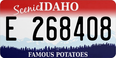 ID license plate E268408